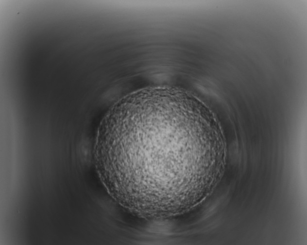 X0000089760234200706281649