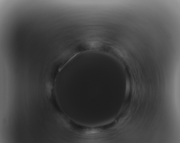 X0000089760235200706281649