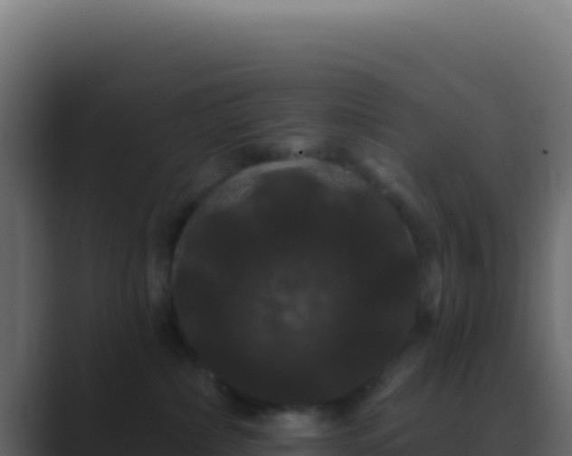 X0000089760236200706281649