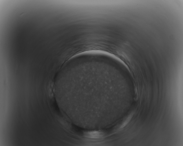 X0000089760237200706281649