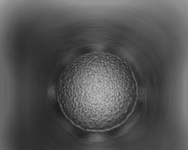 X0000089760238200706281649