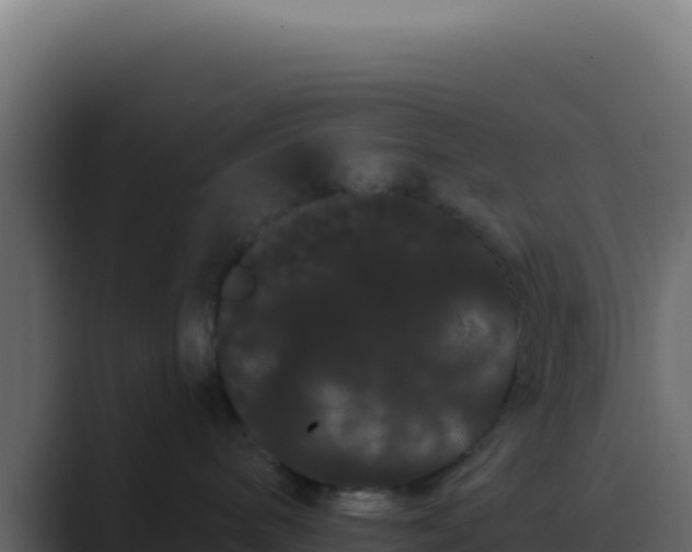 X0000089760240200706281649