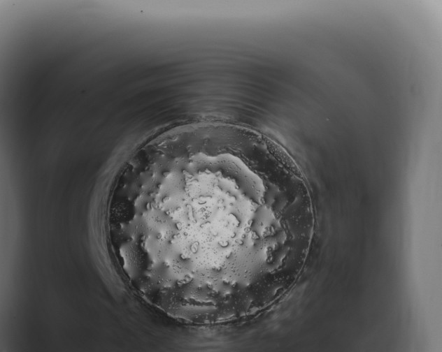 X0000089760241200706281649