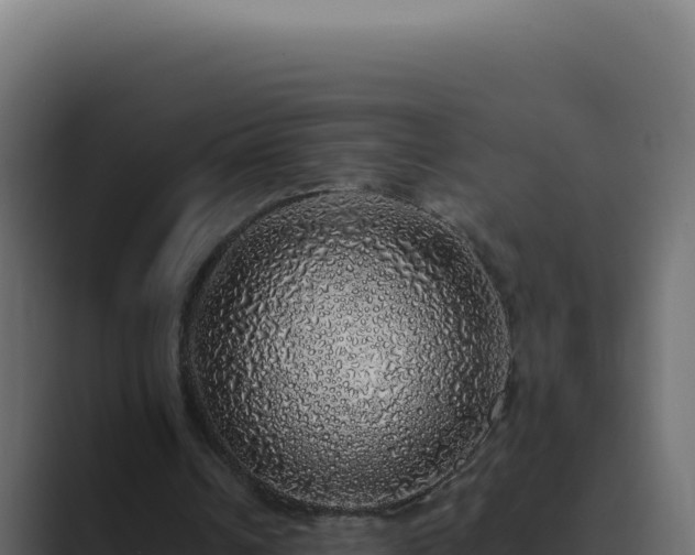 X0000089760242200706281649