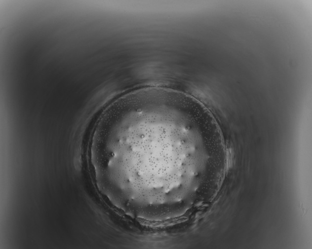 X0000089760243200706281649