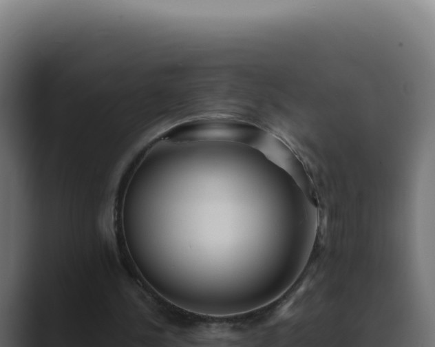 X0000089760244200706281649