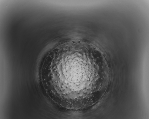 X0000089760245200706281649