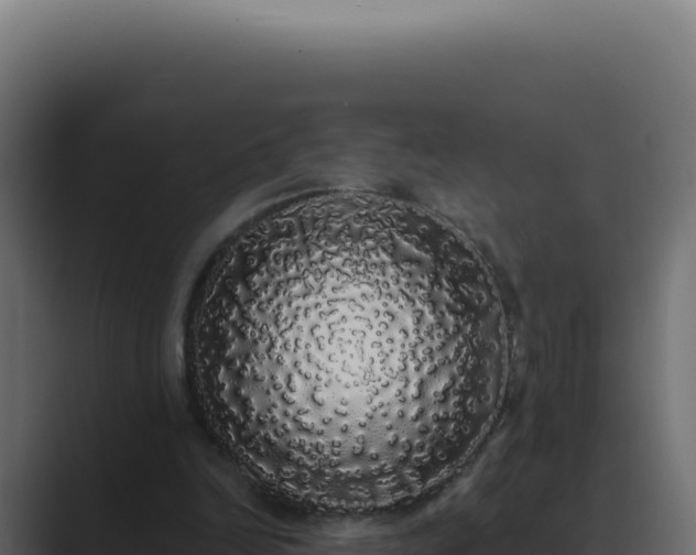 X0000089760246200706281649