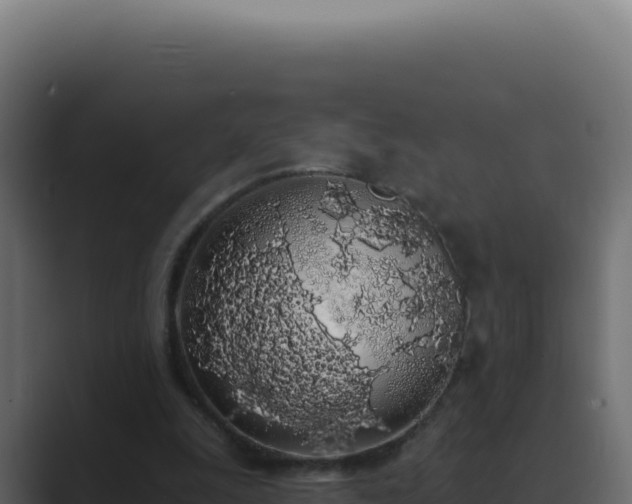 X0000089760247200706281649