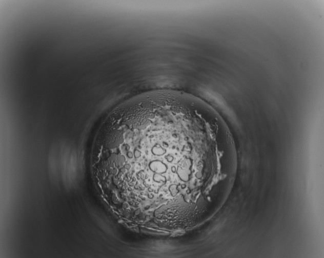 X0000089760250200706281649