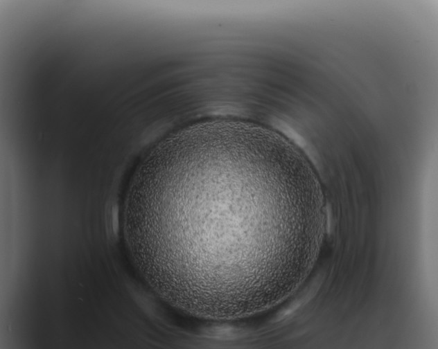 X0000089760253200706281649