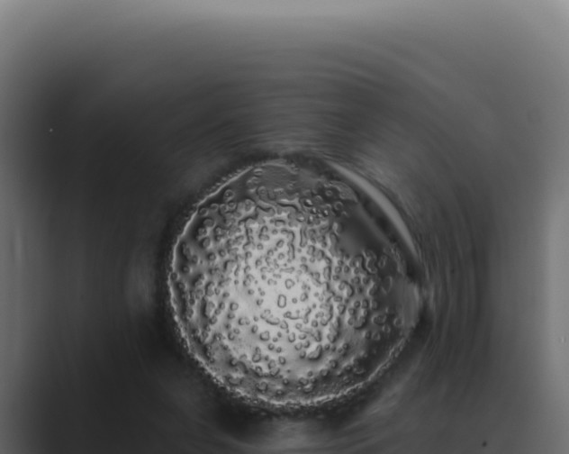 X0000089760255200706281649