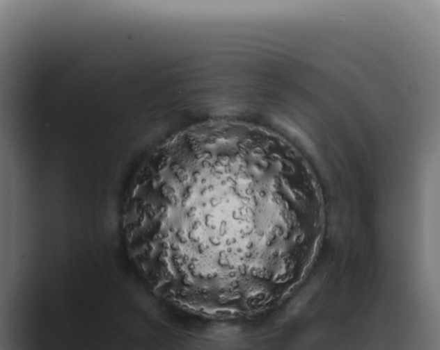 X0000089760257200706281649