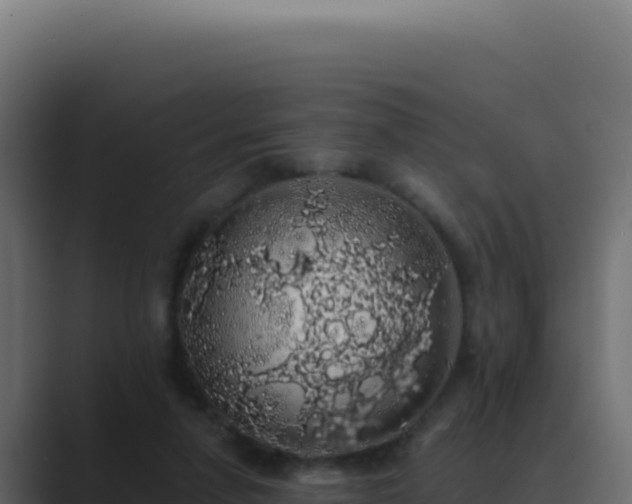 X0000089760258200706281649