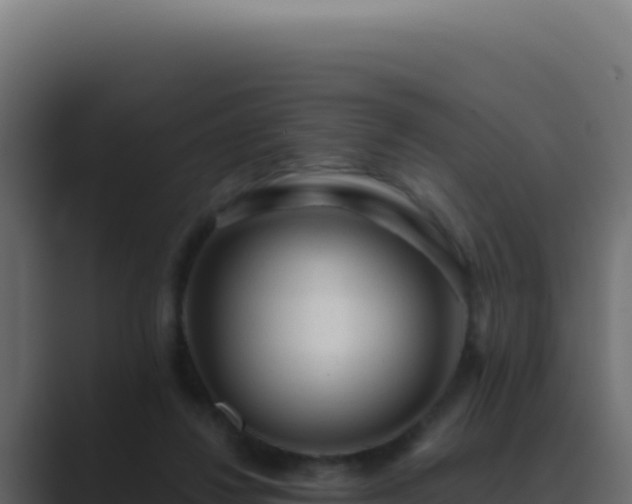 X0000089760260200706281649