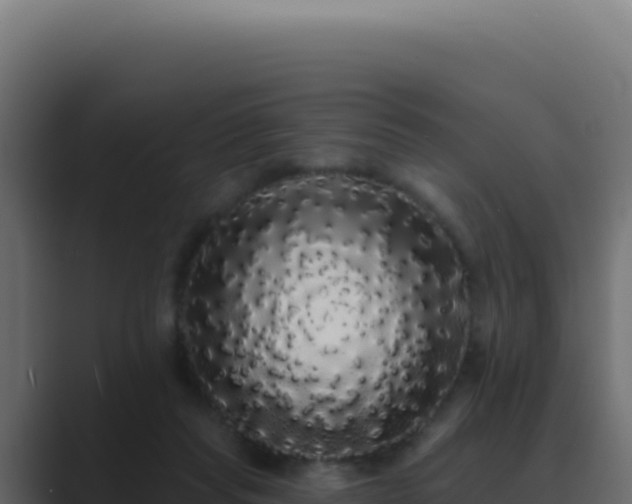 X0000089760261200706281649