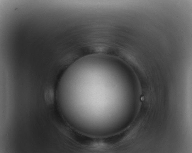 X0000089760262200706281649