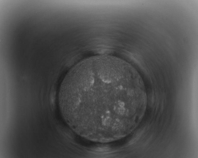 X0000089760263200706281649