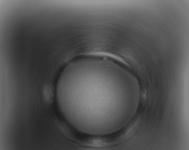 X0000089760264200706281649