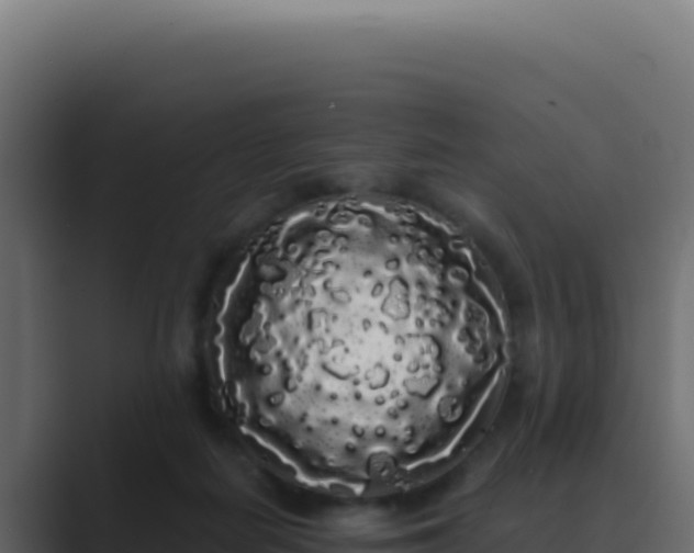 X0000089760266200706281649