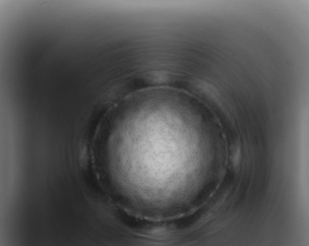 X0000089760267200706281649