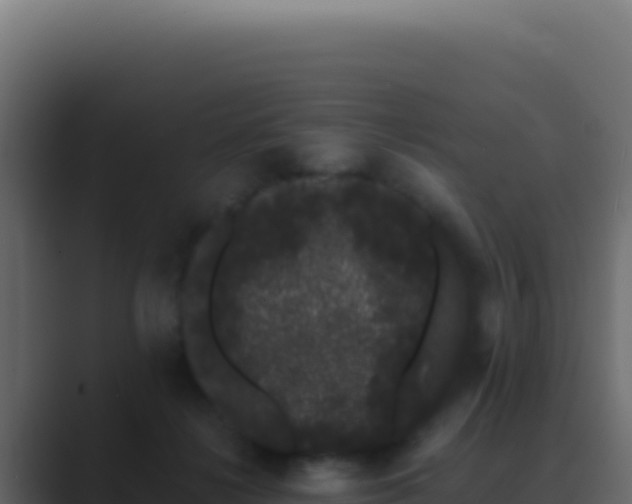 X0000089760268200706281649