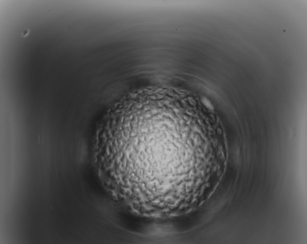 X0000089760270200706281649