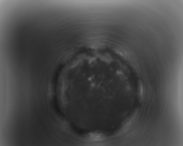 X0000089760272200706281649