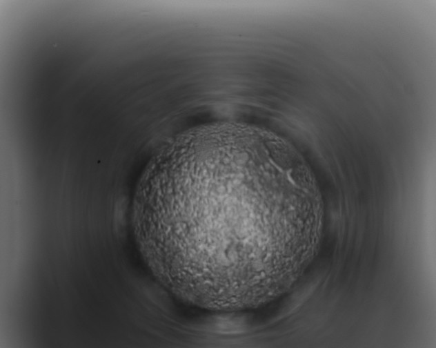 X0000089760275200706281649