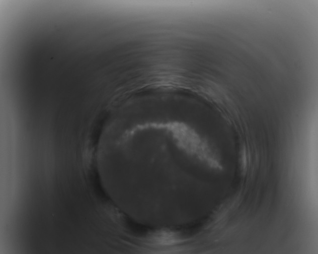 X0000089760276200706281649