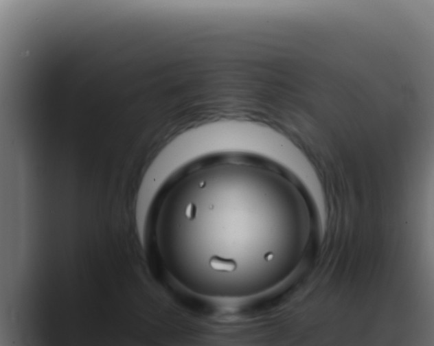 X0000089760280200706281649