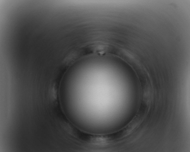 X0000089760282200706281649