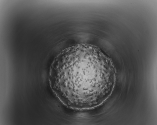 X0000089760283200706281649