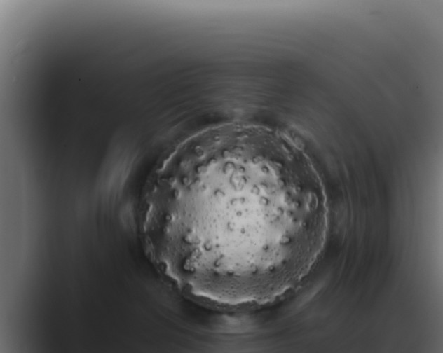 X0000089760286200706281649