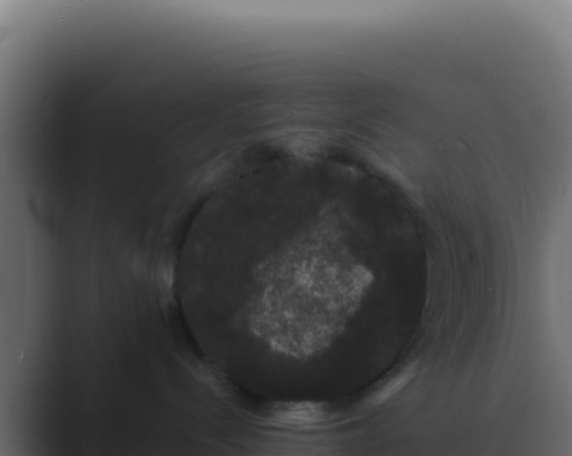 X0000089760288200706281649