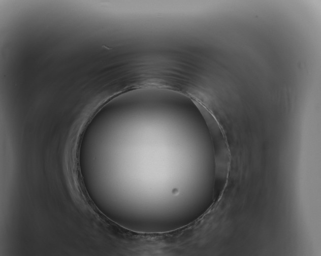 X0000089760289200706281649