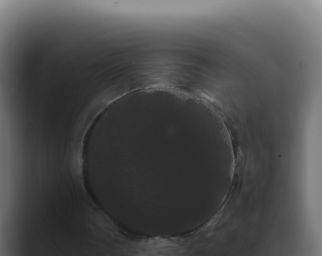 X0000089760290200706281649