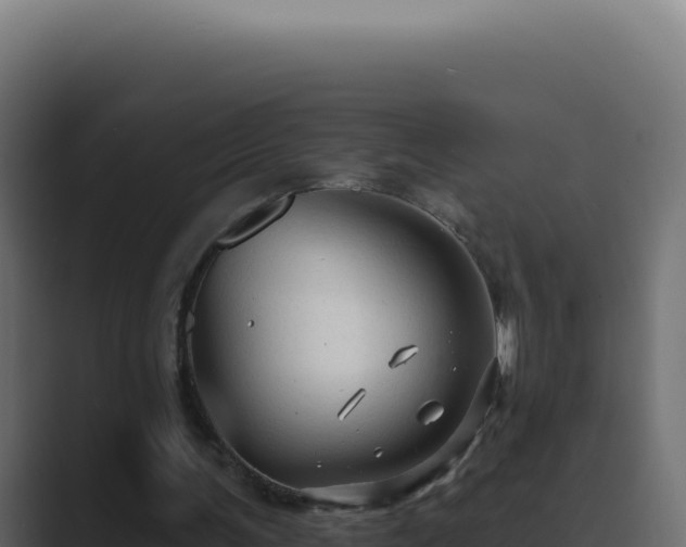 X0000089760291200706281649