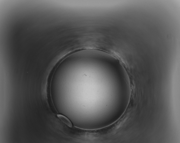 X0000089760292200706281649