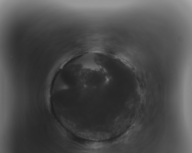 X0000089760293200706281649