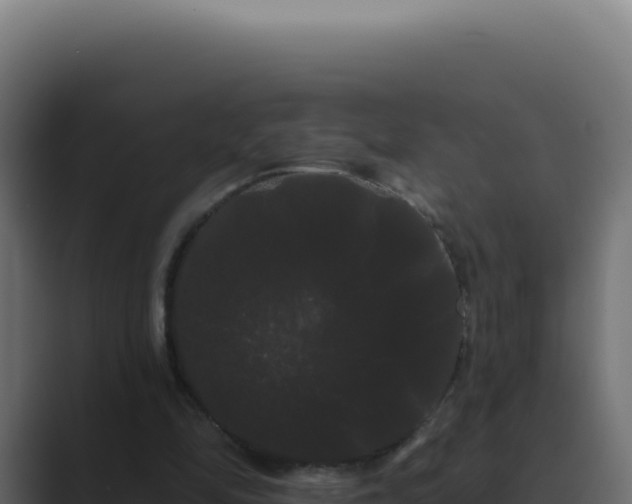 X0000089760294200706281649