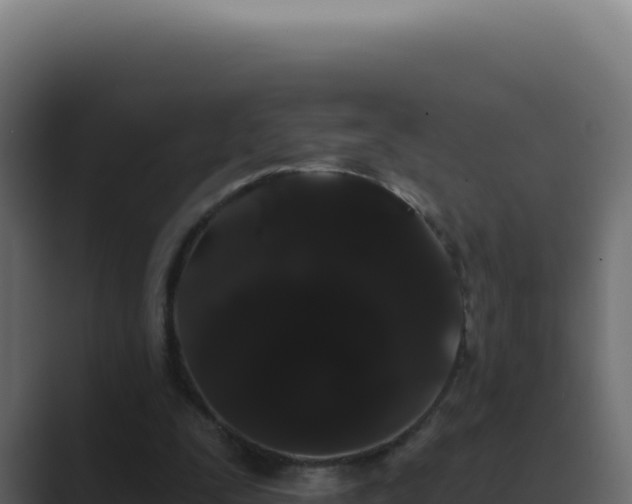 X0000089760295200706281649