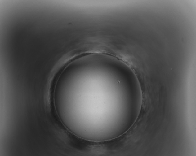 X0000089760296200706281649