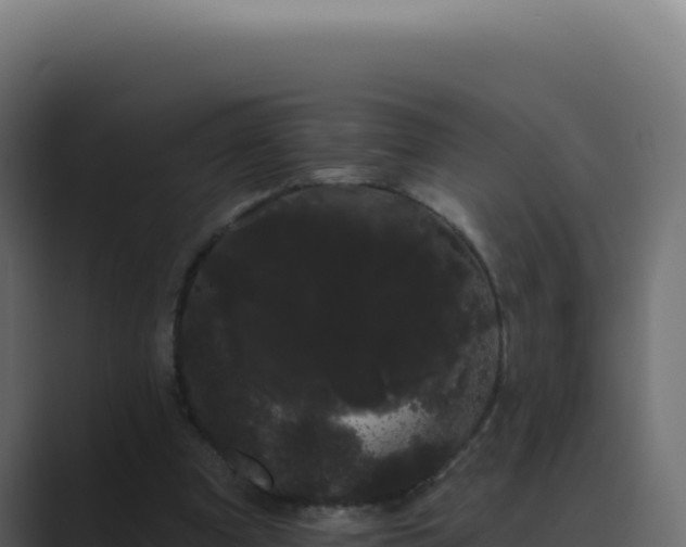 X0000089760297200706281649