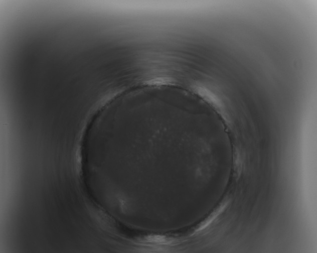 X0000089760298200706281649