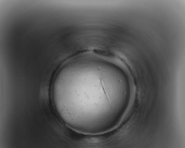 X0000089760299200706281649