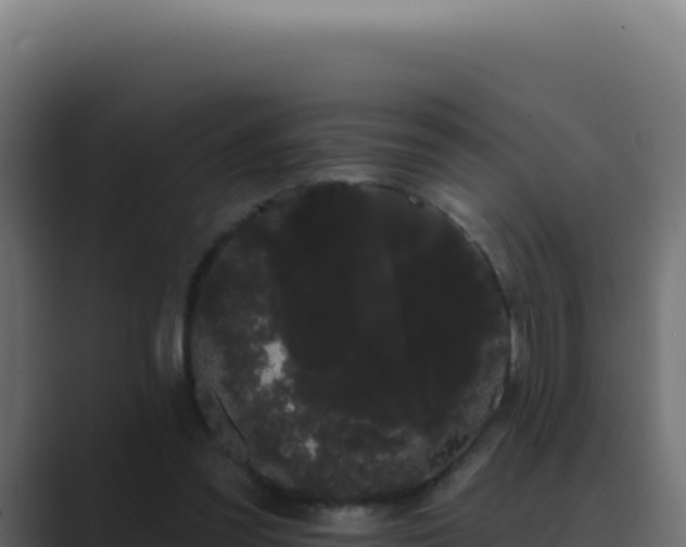 X0000089760301200706281649