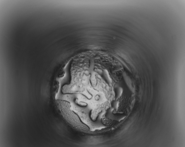 X0000089760303200706281648