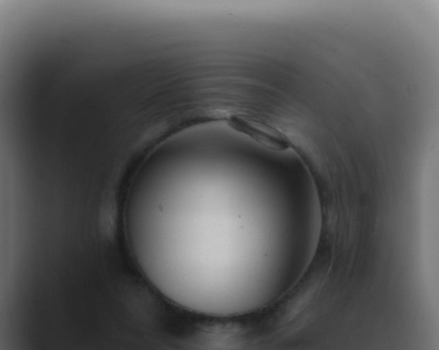 X0000089760304200706281648