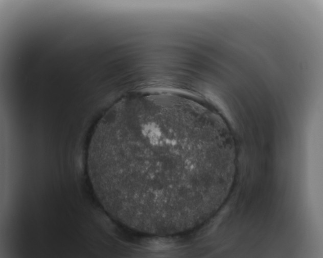 X0000089760305200706281648